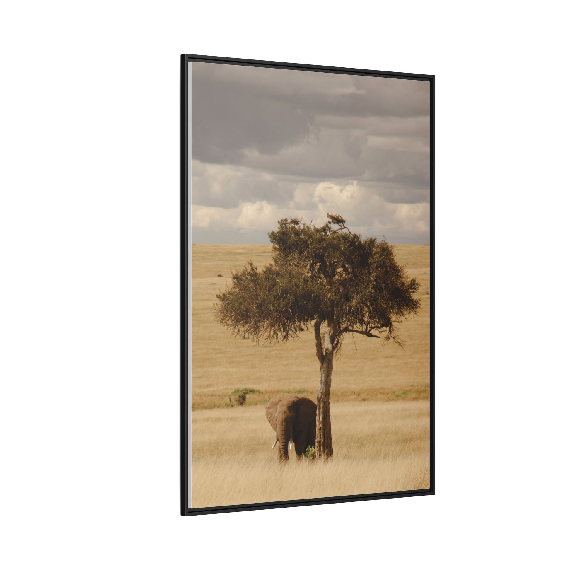 Majesty in the Mara