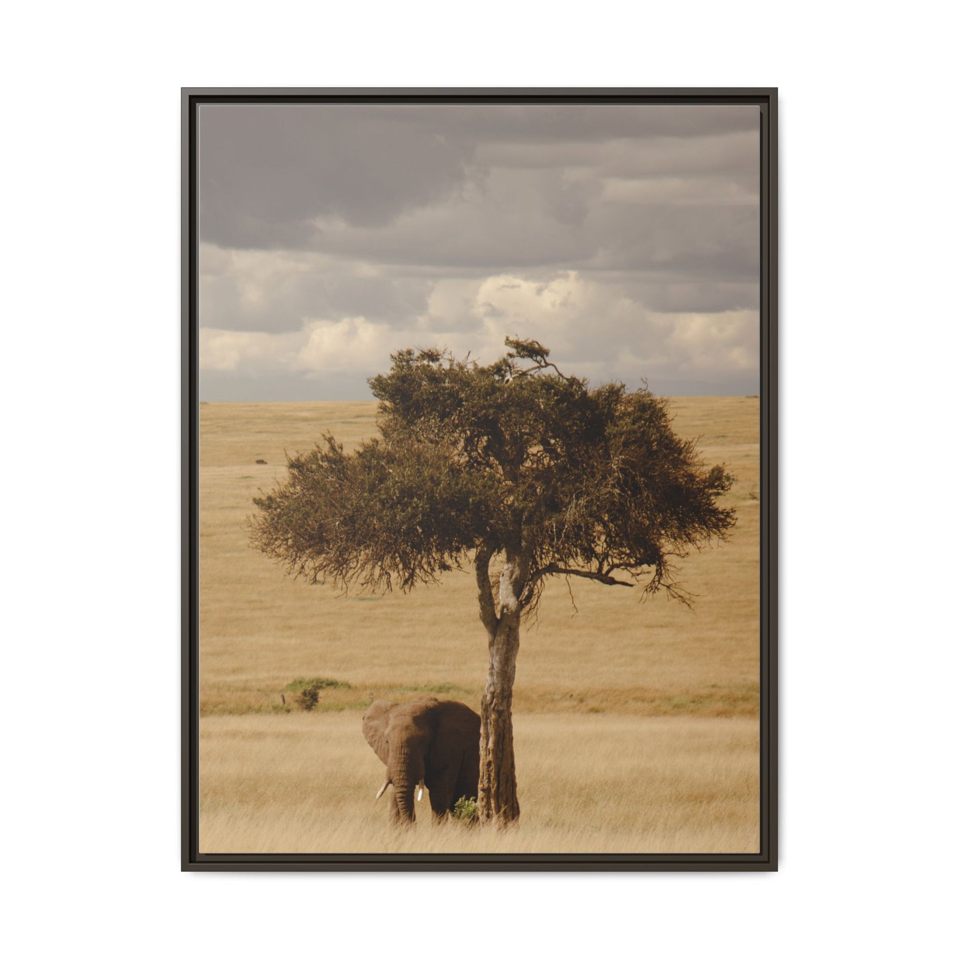 Majesty in the Mara