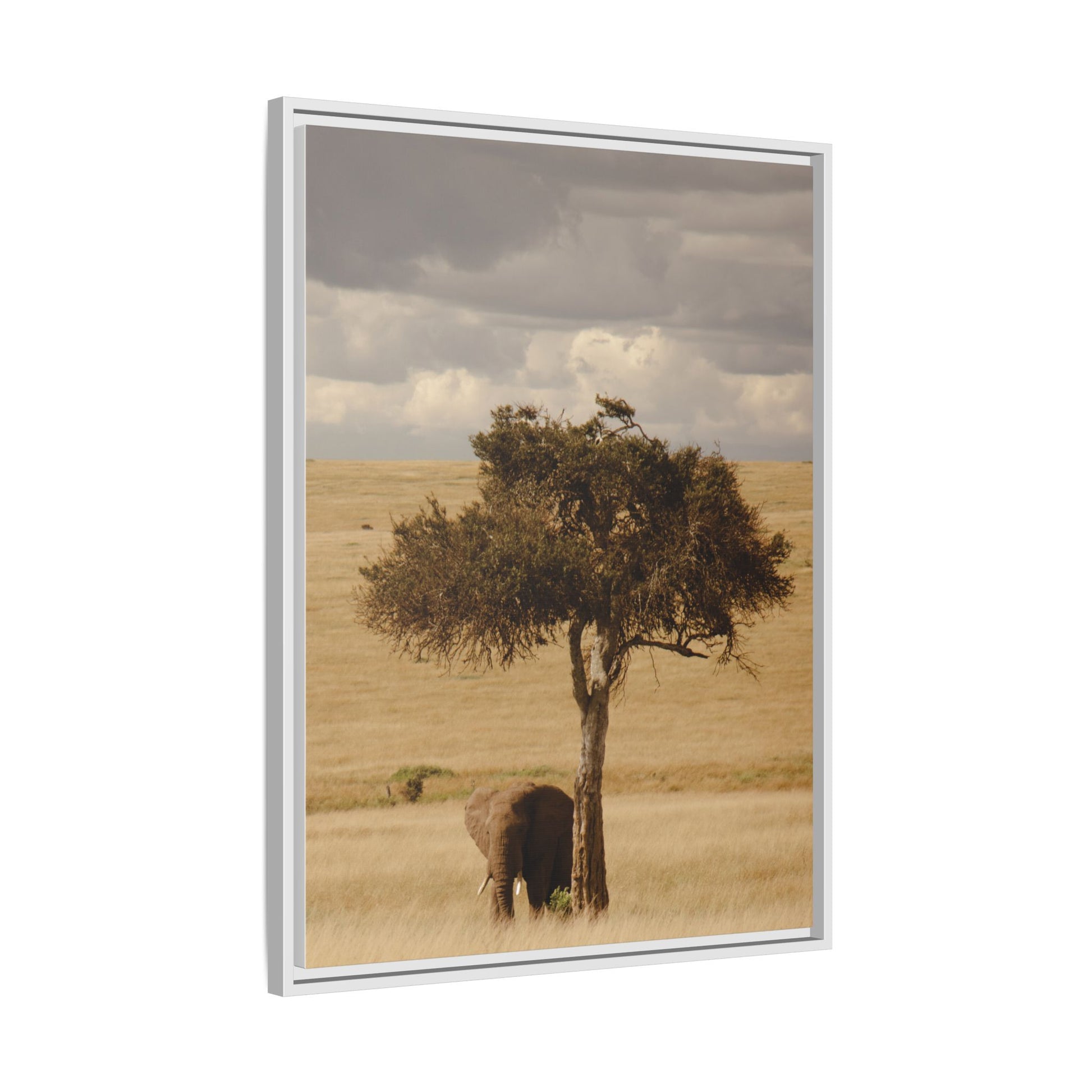 Majesty in the Mara