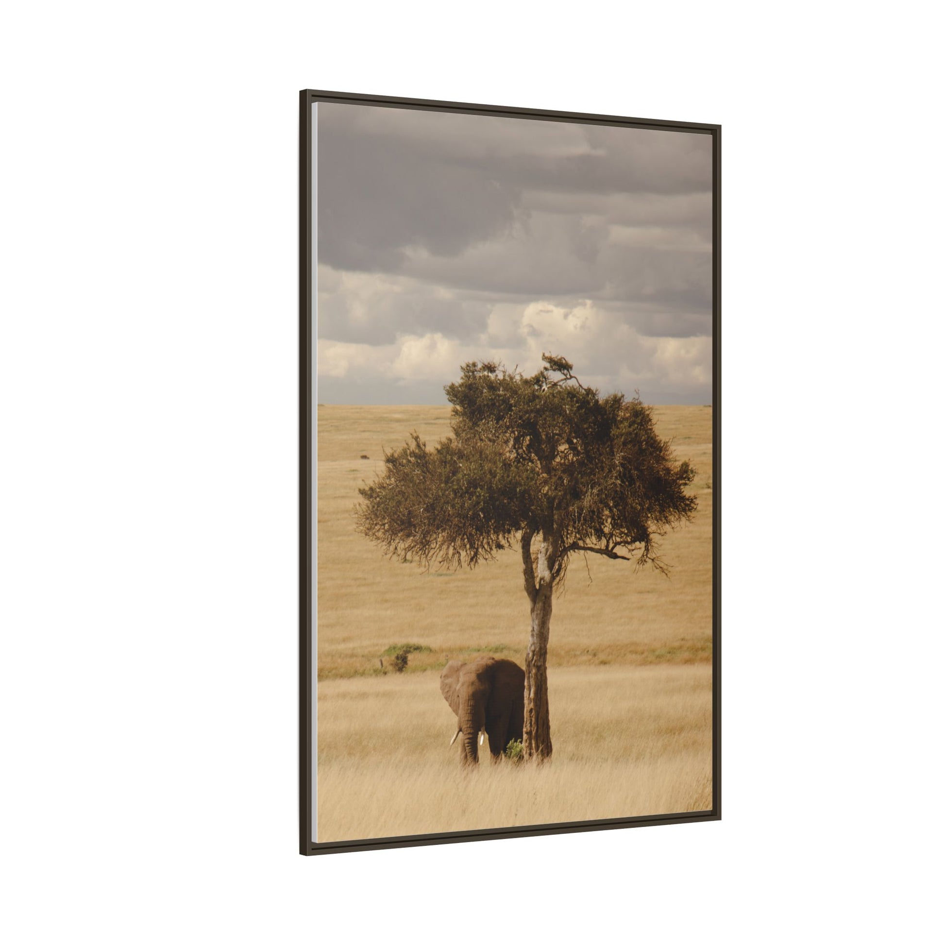Majesty in the Mara