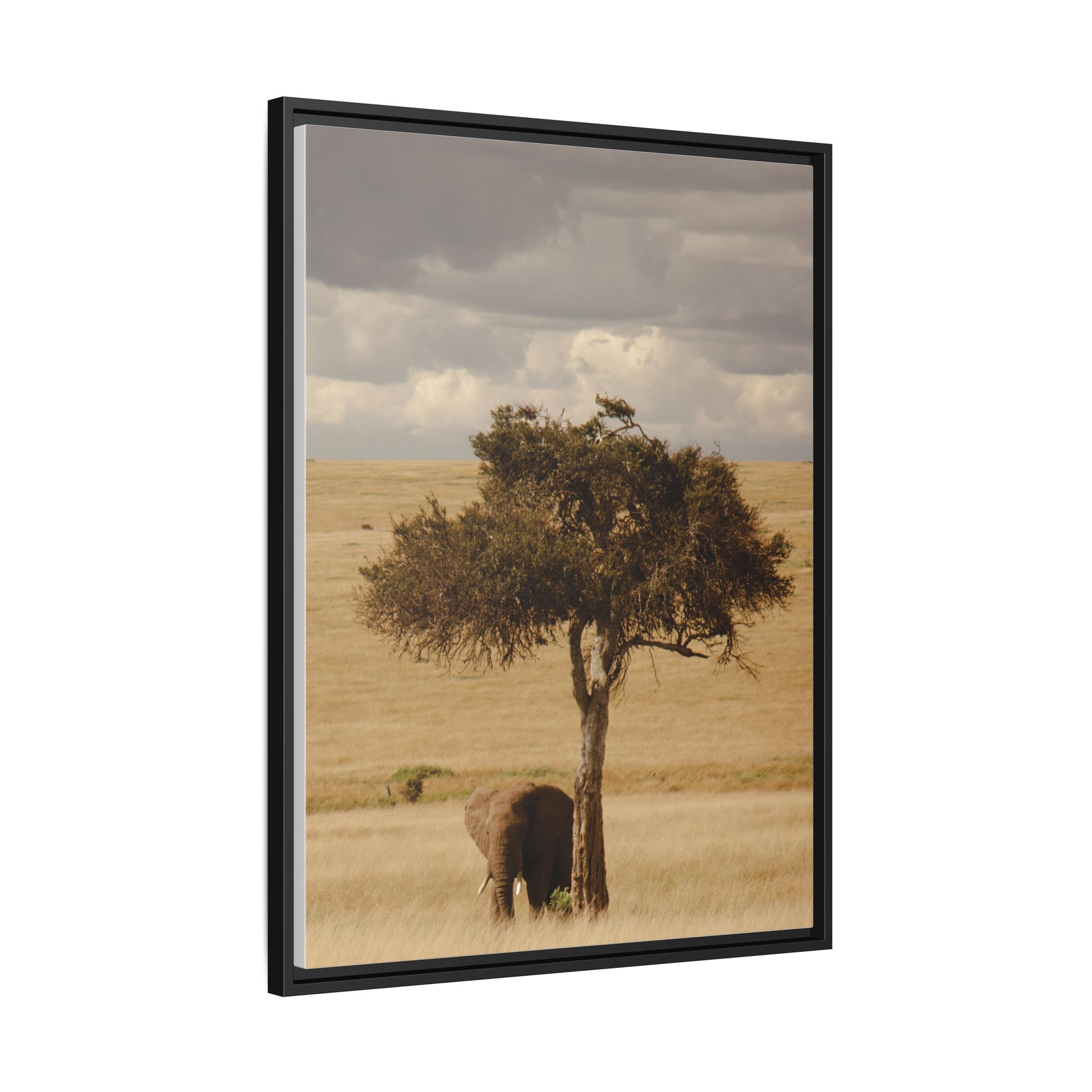 Majesty in the Mara