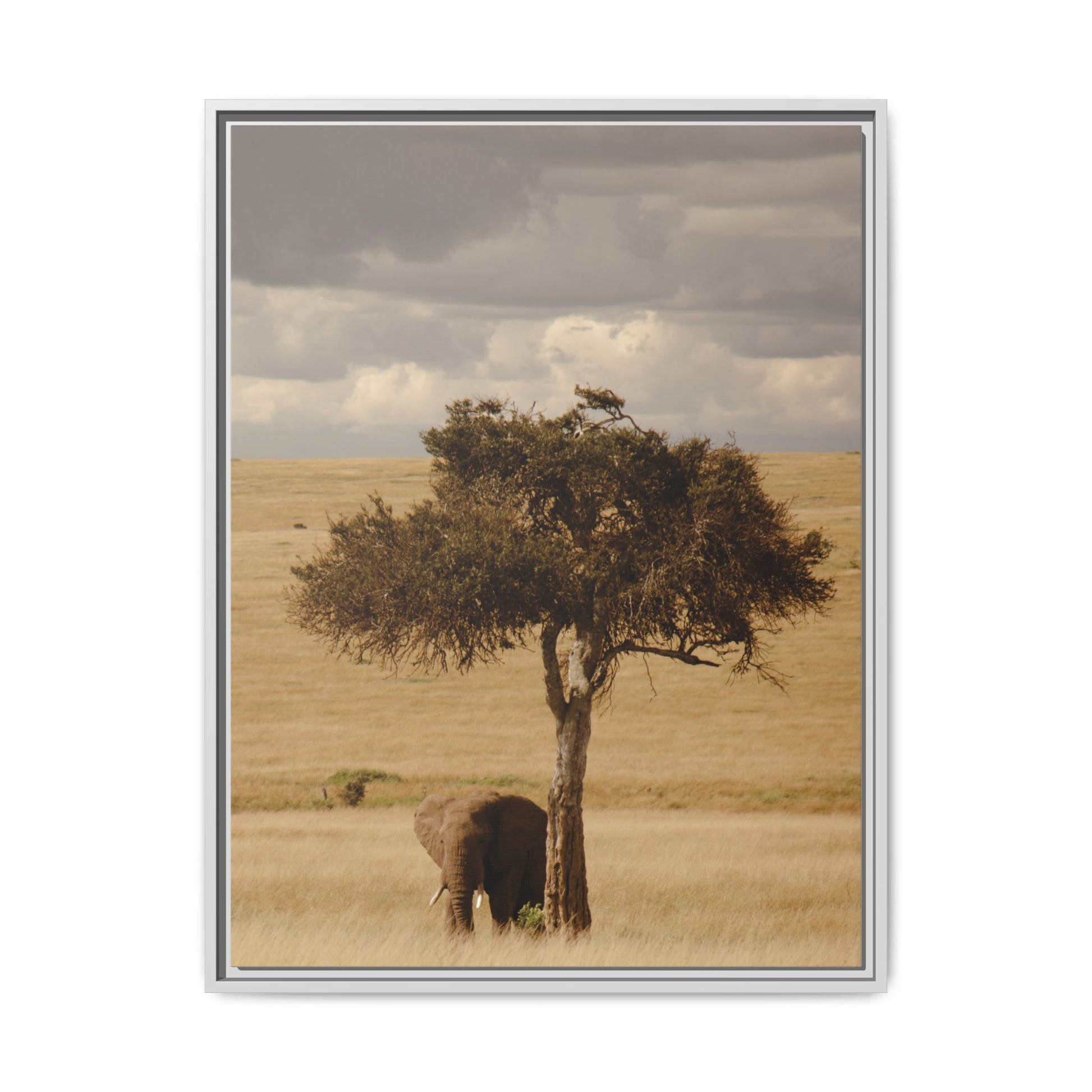 Majesty in the Mara