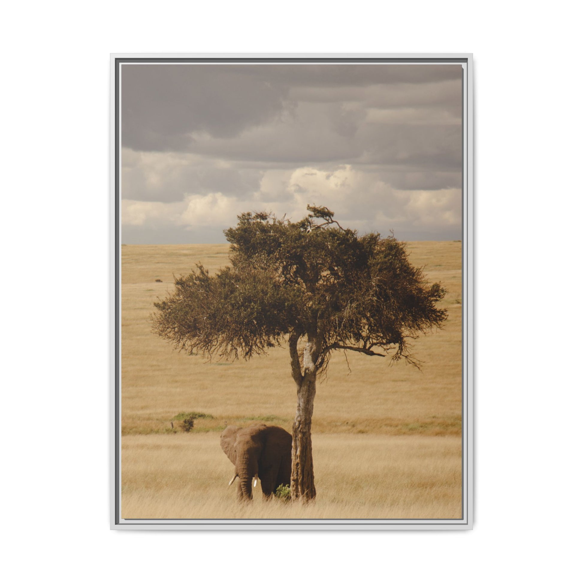 Majesty in the Mara