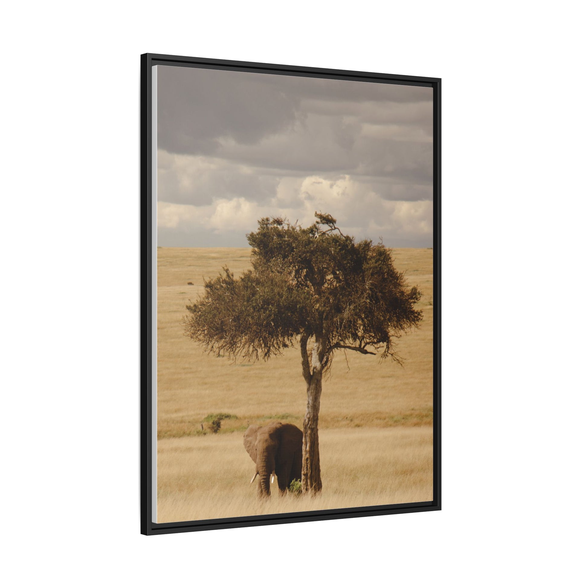 Majesty in the Mara
