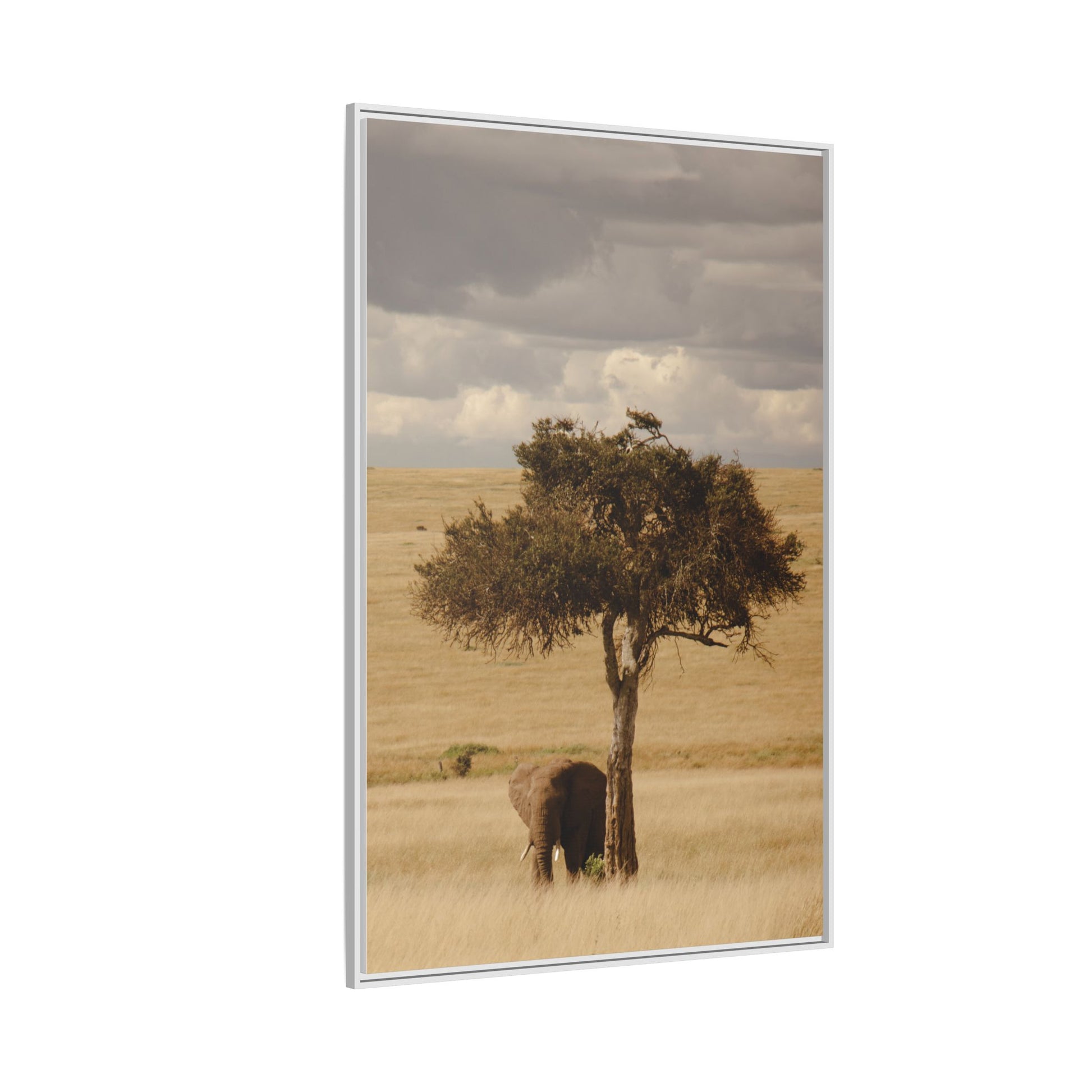 Majesty in the Mara