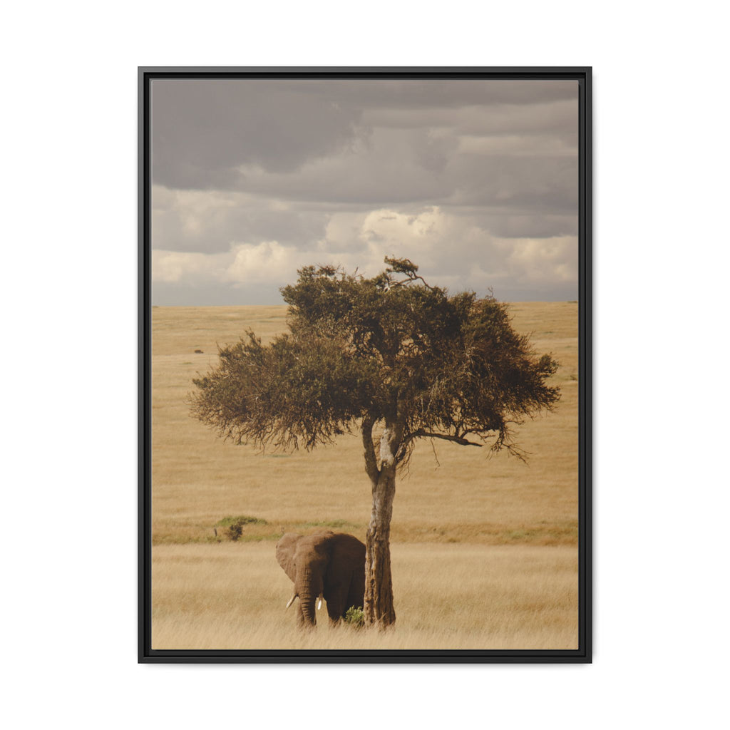 Majesty in the Mara