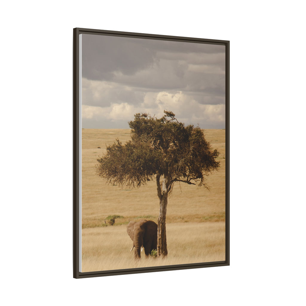 Majesty in the Mara