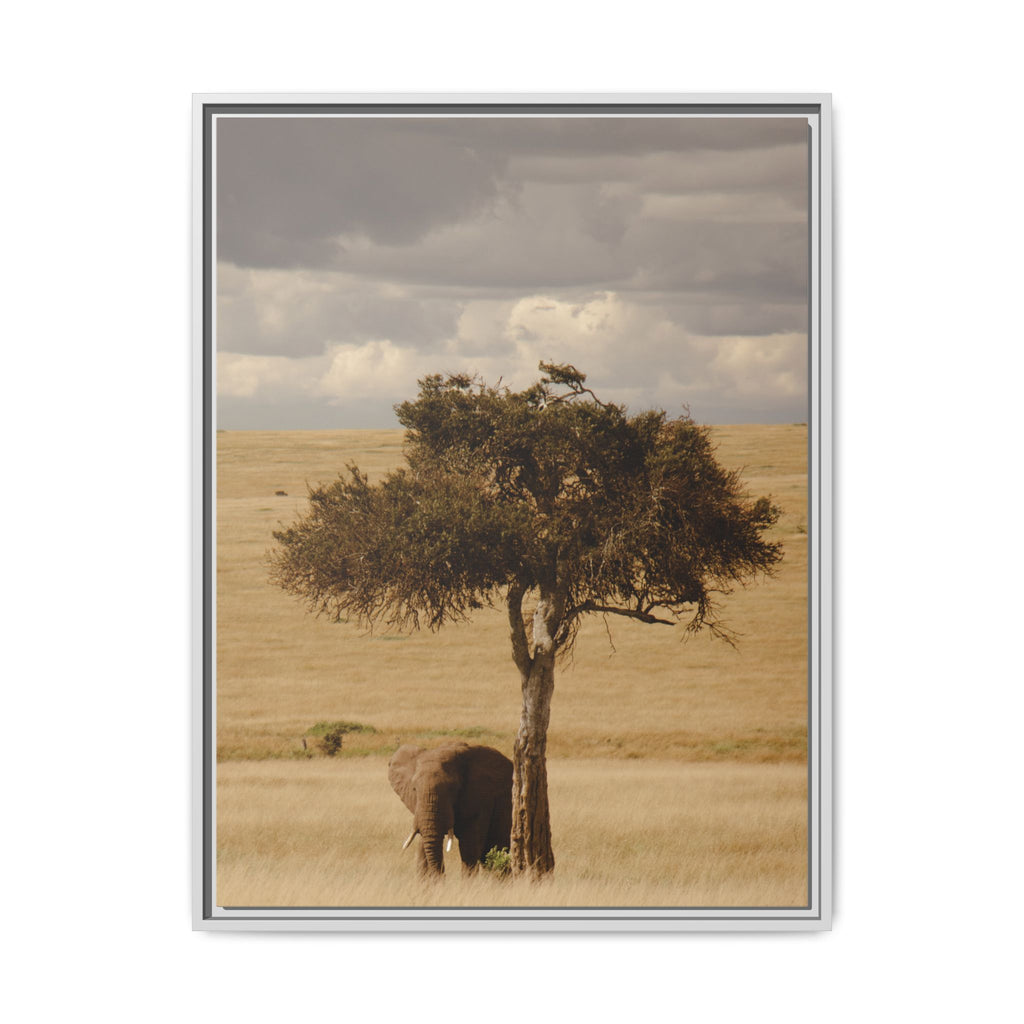Majesty in the Mara