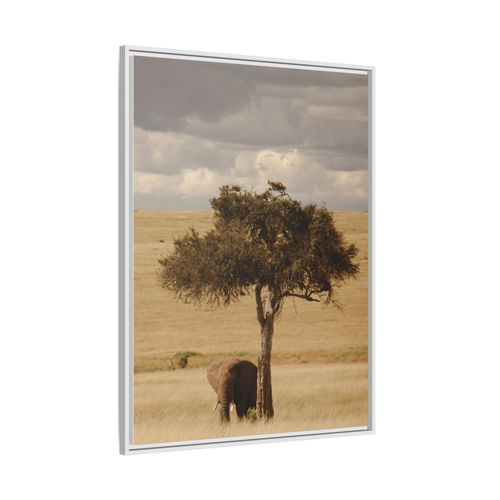 Majesty in the Mara