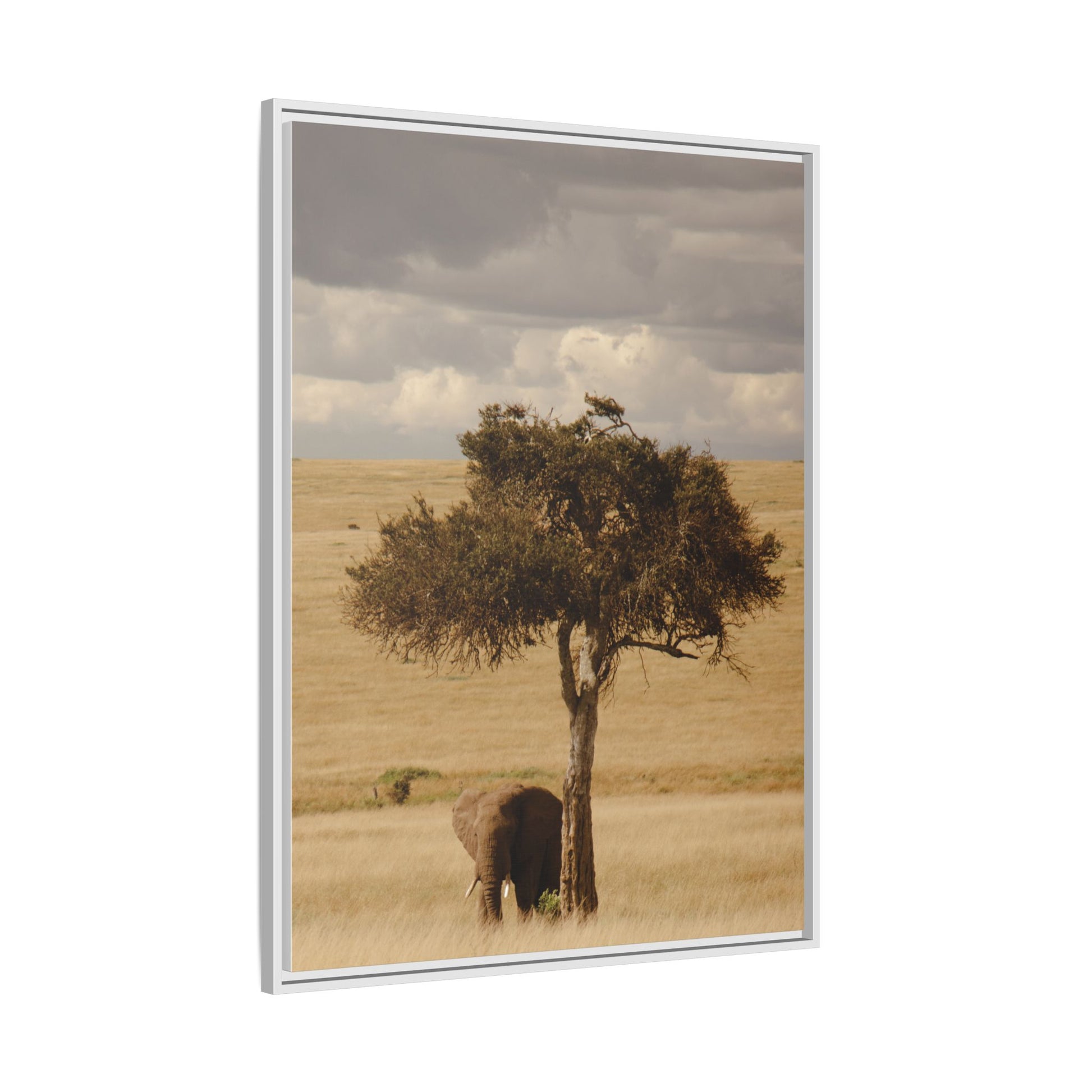 Majesty in the Mara