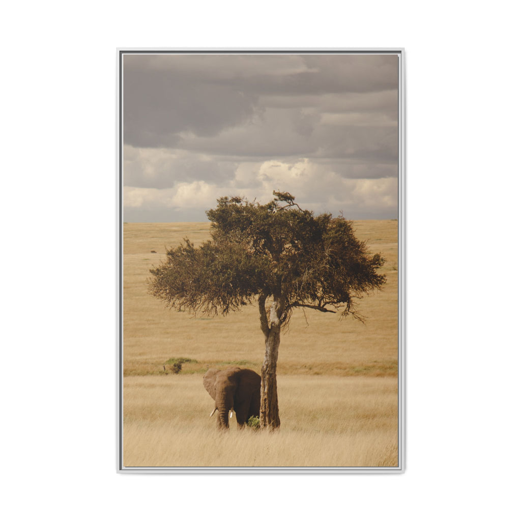 Majesty in the Mara