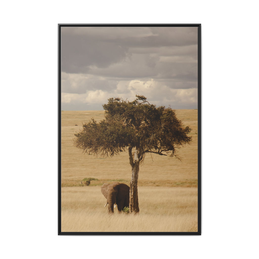 Majesty in the Mara