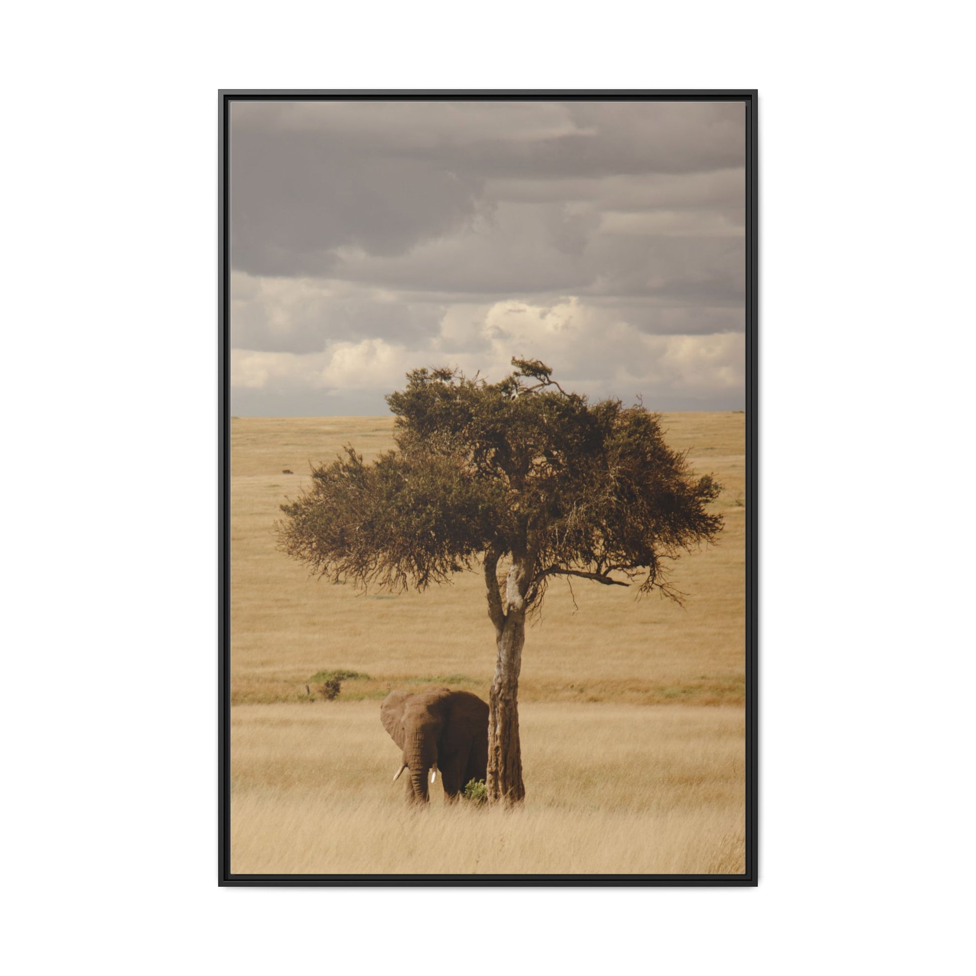 Majesty in the Mara