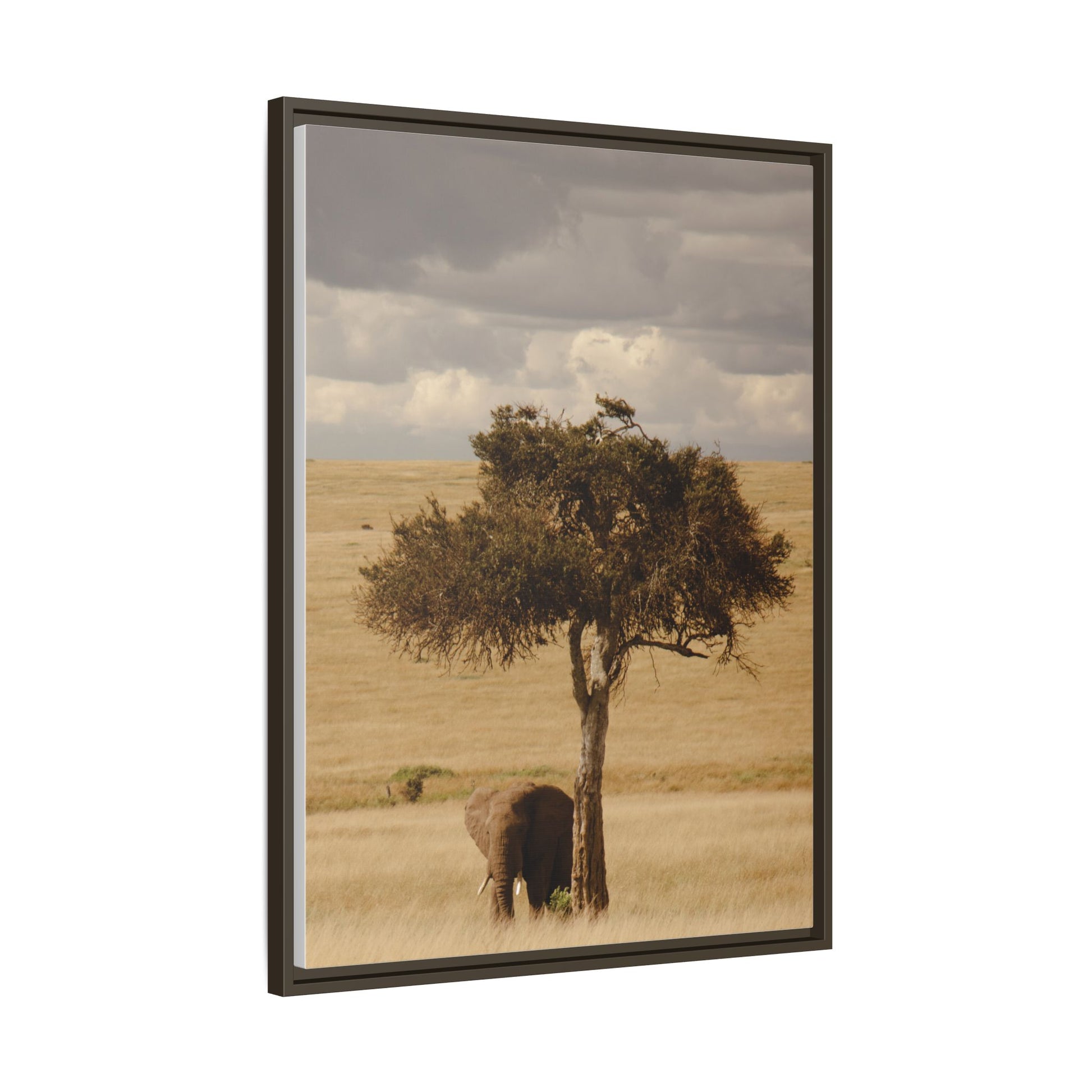 Majesty in the Mara
