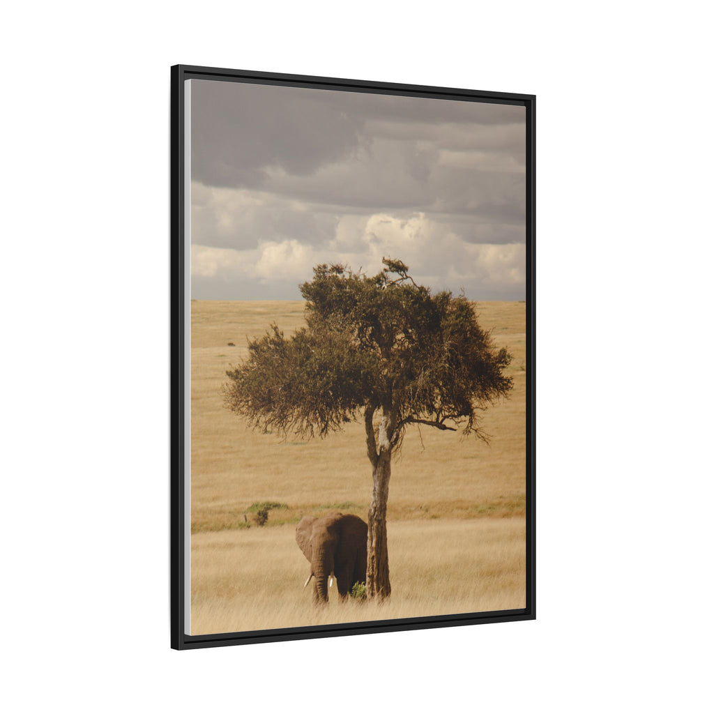 Majesty in the Mara