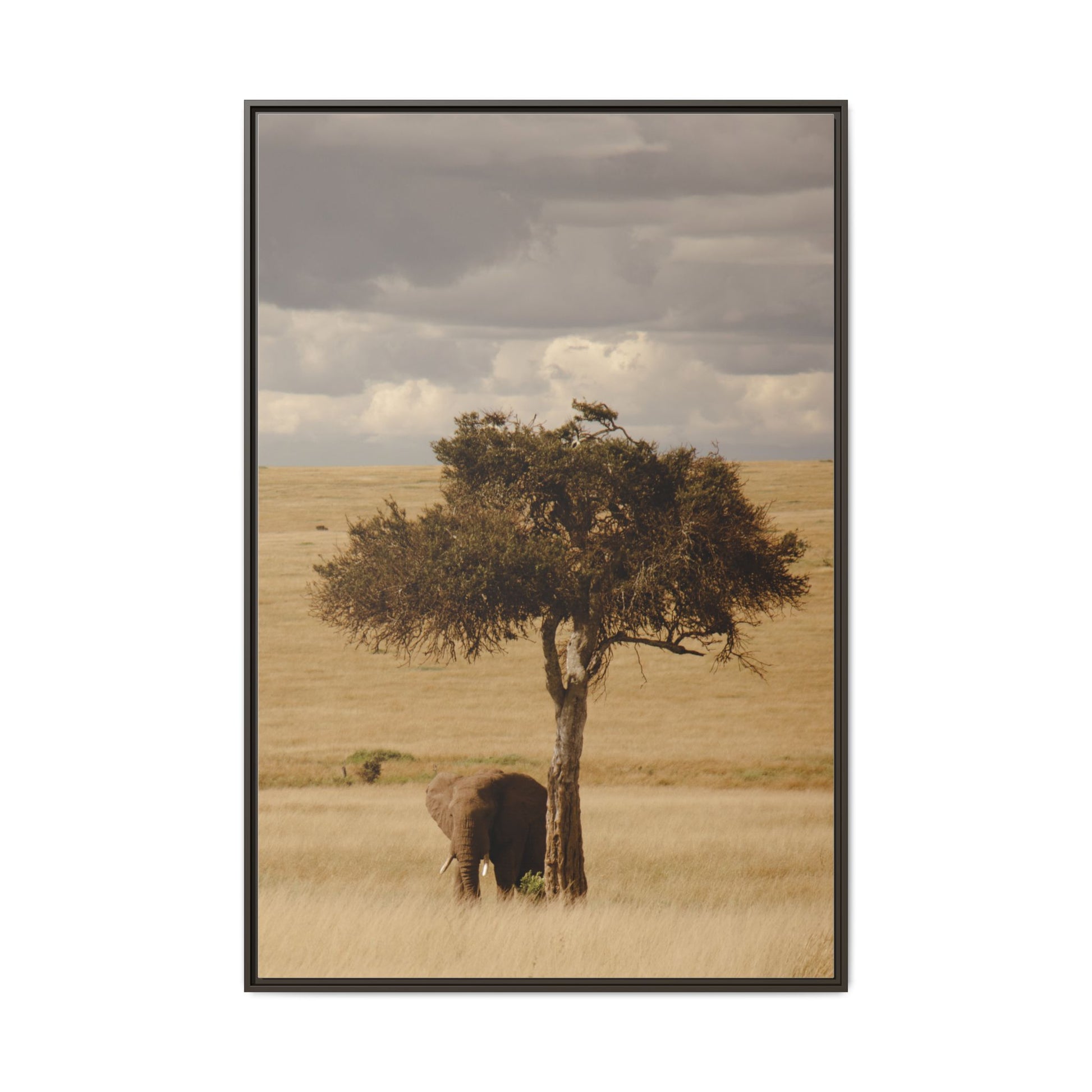Majesty in the Mara